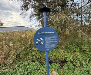 Serenity Park w Mysłowicach to nowe miejsce wypoczynku na Śląsku