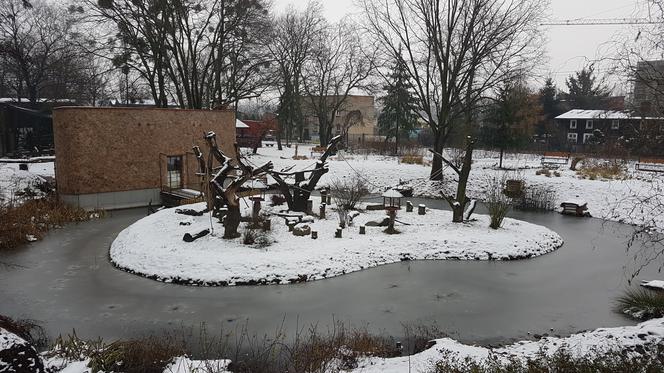 ZOO Toruń zaprasza!