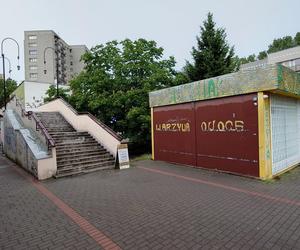 Powalone drzewo po burzy