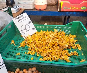 Ceny grzybów na Nowym i Starym Kleparzu w Krakowie