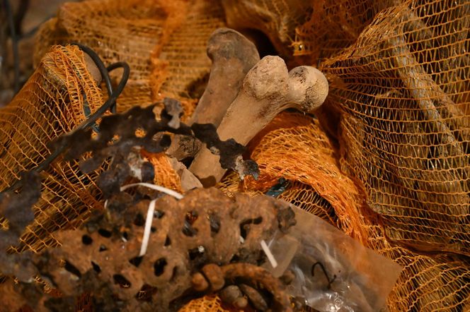 Mumia szlachcica odkryta w Komorowie