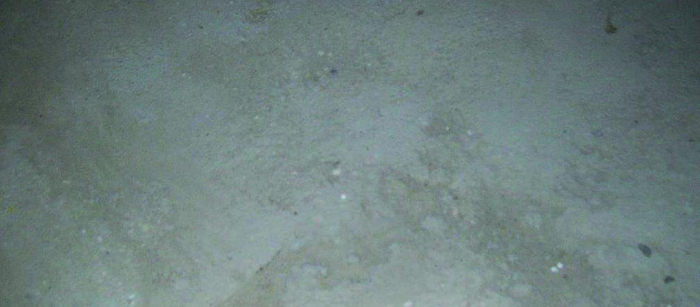 Uszkodzenia i sposoby naprawy betonowych posadzek przemysłowych