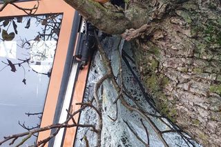 Wypadek autobusu szkolnego