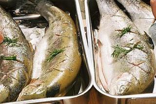 Co trzeba wiedzieć o oprawianiu i czyszczeniu ryb?