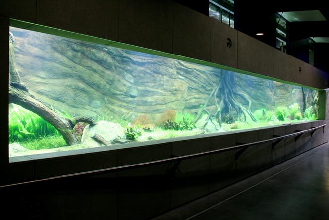Rozbudowa ZOO