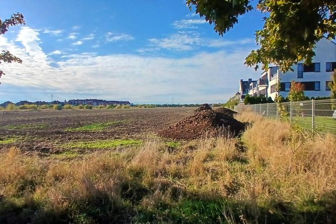 "Śmierdzący" problem na osiedlu. Mieszkańcy mają hałdy obornika pod oknami