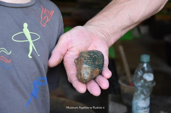 Muzeum Agatów w Rudnie zorganizowało wykopki minerałów. Zbierano je jak ziemniaki