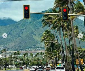 Ten wpis Anity Werner poruszył tysiące osób. Nikt się tego nie spodziewał!