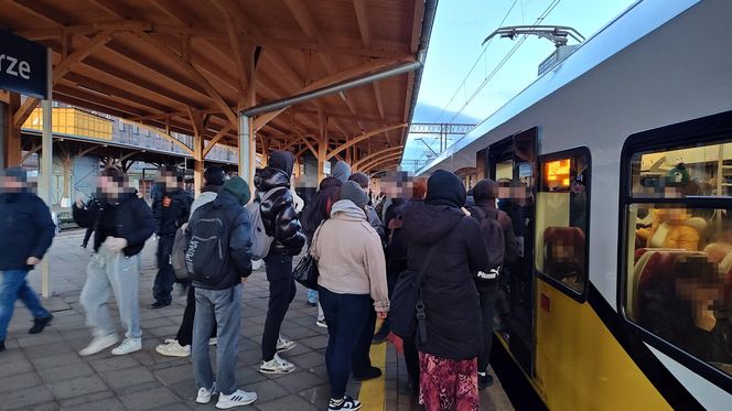 Kolejowy koszmar we Wrocławiu. "Ludzie wiszą na drzwiach, podróżujemy jak sardynki" 