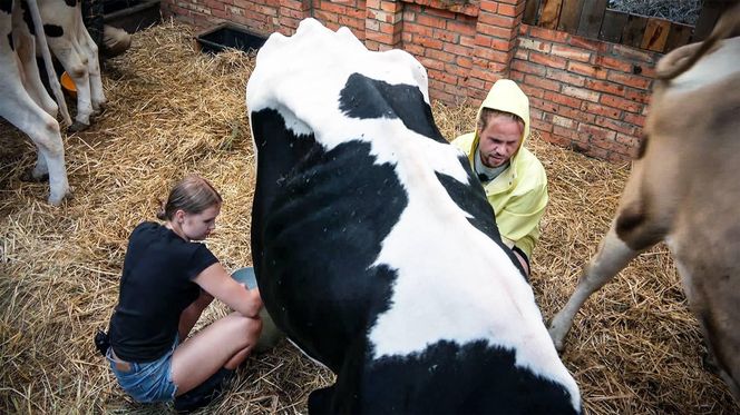 Farma 4: może już pakować walizki. Nikt nie ma wątpliwości, jak skończy się pojedynek