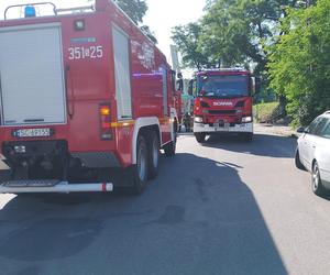 Pożar samochodów we Wrzosowej. Ogniem objęte były samochód osobowy i dostawczy