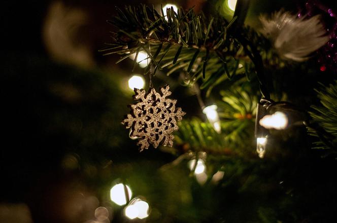 Choinka, iluminacje, słodkości dla dzieci! 6 grudnia w Zielonej Górze Mikołajki Miejskie