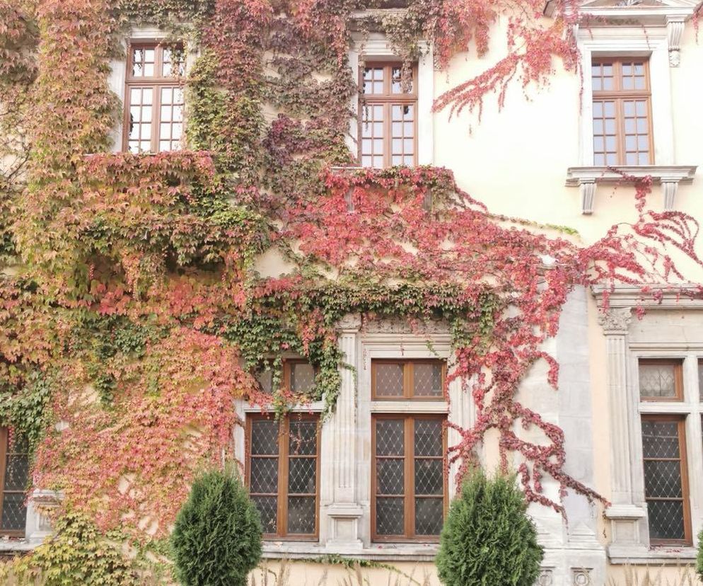 Jesienne wyjazdy. Apel hotelarzy do turystów