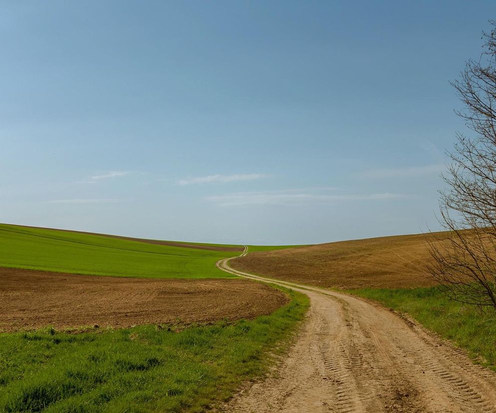 W tej wsi w woj. lubelskim znajduje się „pole zjawienia”
