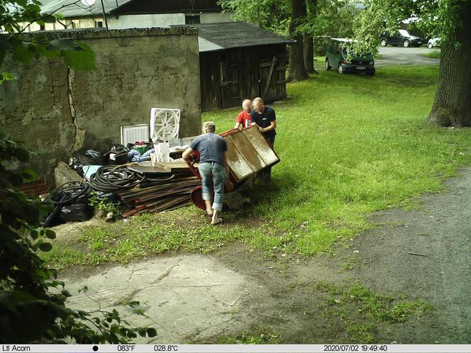 Pabianice. Myśleli, że pozostaną bezkarni. Straż miejska postawiła fotopułapkę