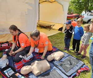 Festiwal Przyjaciół Zwierząt w Olsztynie. Park Centralny opanowały radosne pieski
