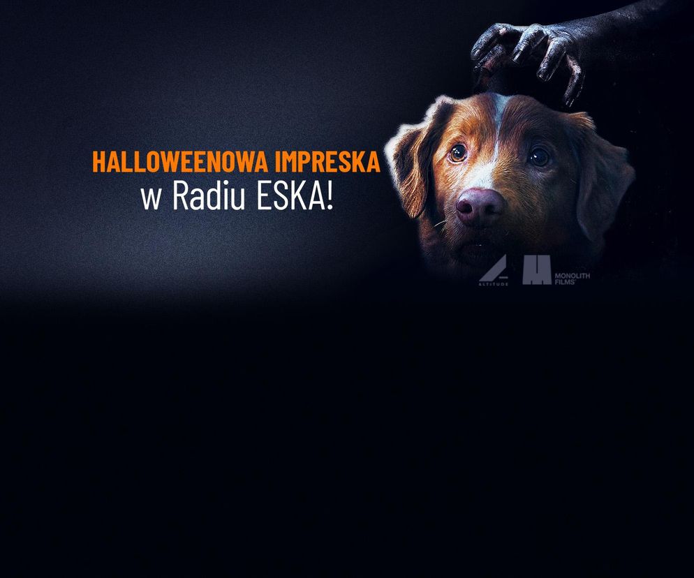 Wygraj bilety na film „Good Boy” do Cinema City i 500 zł!