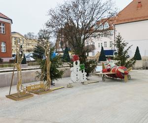 Choinka, ozdoby i iluminacje świąteczne rozstawione już w Iławie