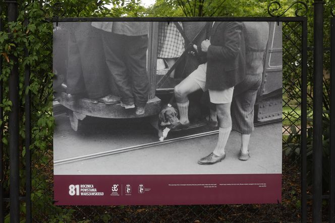 Powstanie Warszawskie w kadrze Stefana "Starby" Bałuka. Cichociemny szedł z aparatem do Powstania