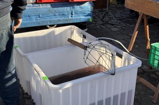 Sprzedaż żywych karpi na targu we Wrocławiu. Co z zakazem handlu żywymi rybami?