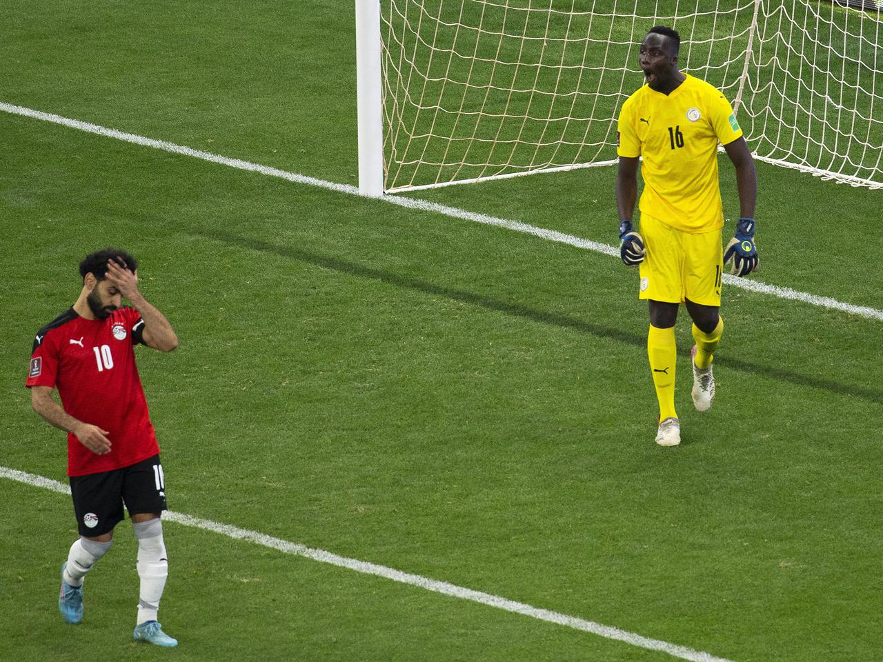 Skandal podczas meczu el. MŚ 2022. Ohydne zachowanie kibiców, mecz zostanie powtórzony?