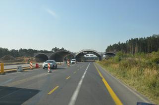 Autostrada A1. Koniec drogowego koszmaru? GDDiKA zapowiada REWOLUCYJNE zmiany w ruchu! [FOTO]