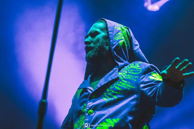 Last Minute Summer Festival 2020. Zobacz zdjęcia z koncertów [GALERIA]