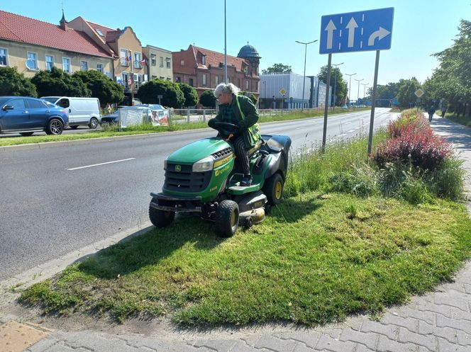 Trawniki w Lesznie wybujały. Koszą prawie codziennie [ZDJĘCIA]