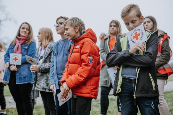 Oby rósł 100 lat! Dąb czerwony na jubileusz 100-lecia PCK