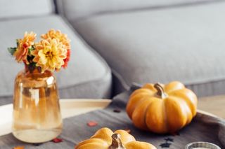 Jesienna kompozycja z dyniami