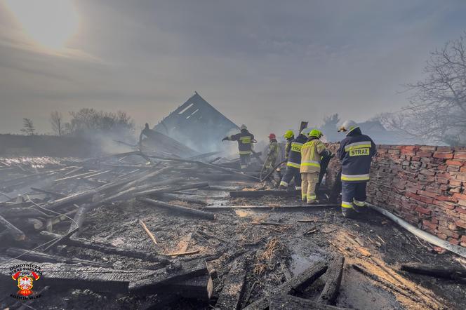 Tragiczny pożar niedaleko Krotoszyna. Spłonęło trzysta królików 