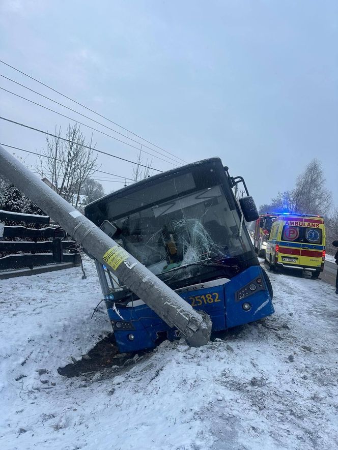 Autobus uderzył w słup (22.11.2024)