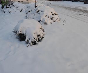 Śnieżna noc za nami. Czy zima zaskoczyła mieszkańców Poznania? 