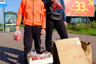 Bracia z Łęcznej sprzedają czereśnie