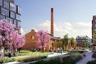 Drucianka Campus w Warszawie