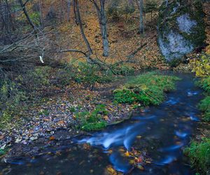 Ten park narodowy nazywany jest polską Szwajcarią