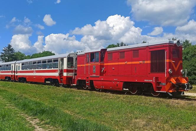 Ciuchcia Ponidzie atrakcją dla turystów w Świętokrzyskiem