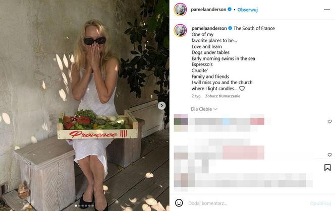 Pamela Anderson została kucharką! Wielkie zmiany w życiu gwiazdy