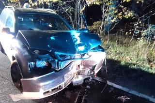 Lubuskie: Kierowca wjechał w drzewo i roztrzaskał auto