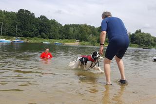 I Festiwal Psów Ratowniczych na plaży miejskiej w Żywcu