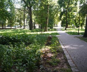 Park Miejski w Sandomierzu