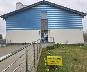 W weekend hospicyjna akcja „Pola Nadziei”