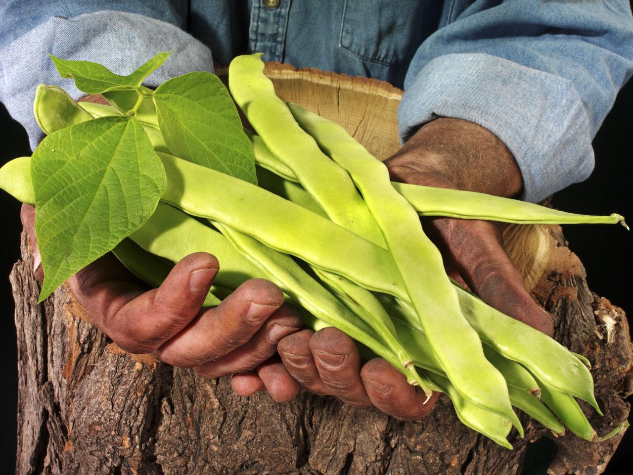 Sałatka z fasolką mamut: wersja sałatki nicejskiej