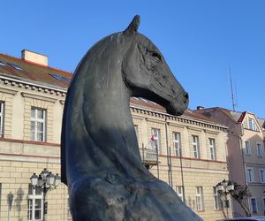konin rzeźba