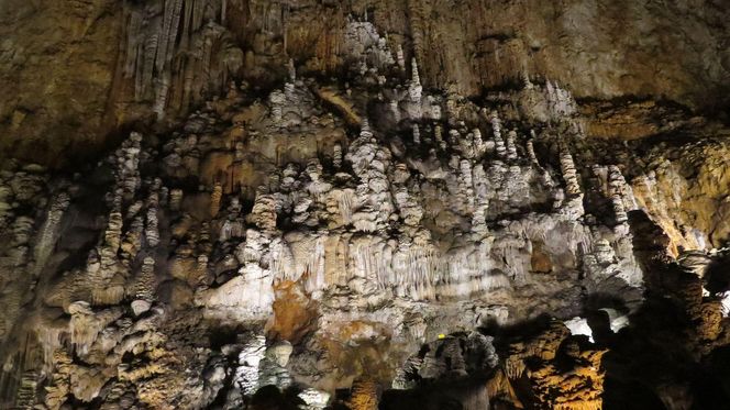 Grotta Gigante - największa jaskinia na świecie udostępniona turystom