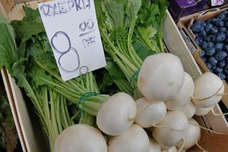 Ceny nowalijek na krakowskich targowiskach. Ile zapłacimy za młode warzywa w marcu 2024?