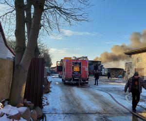 Pożar hali w Ambrożowie. Na miejscu strażacy z całego powiatu
