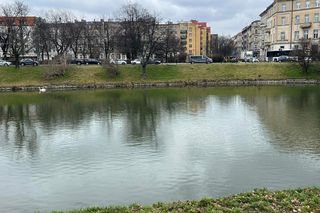 Lokalizacja projektowanej Kładki Łąbędziej we Wrocławiu