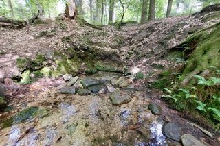 Źródło rzeki Kamiennej Biały stok