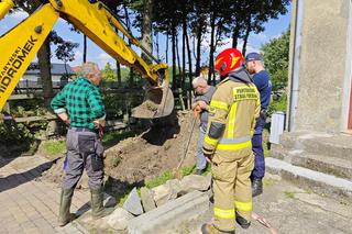 Uszkodzony dom w Dalewie